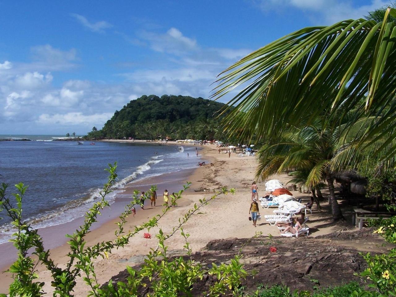 Concha Tropical Flat Daire Itacaré Dış mekan fotoğraf
