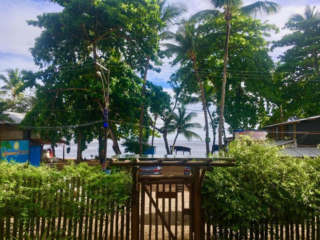 Concha Tropical Flat Daire Itacaré Dış mekan fotoğraf