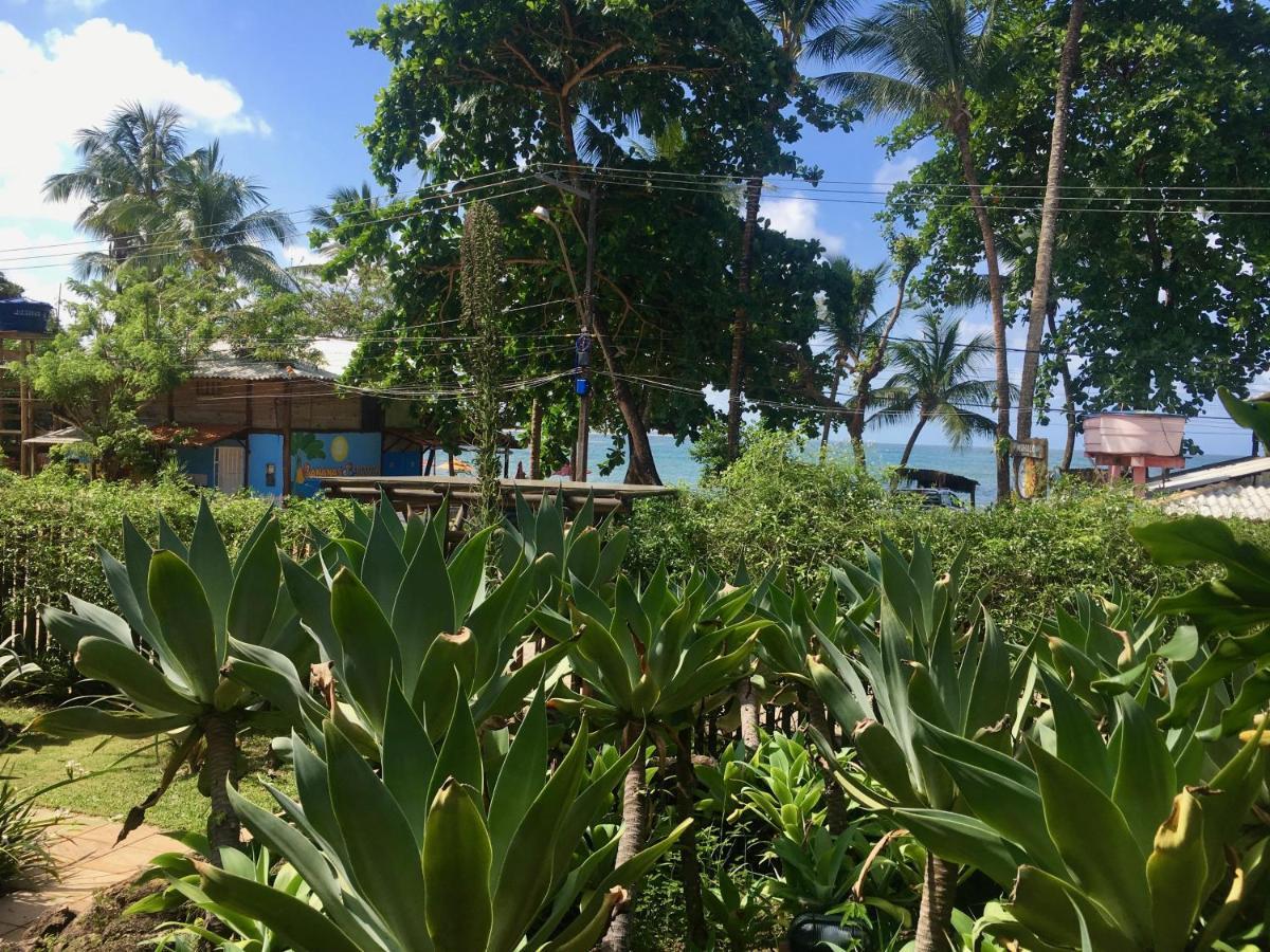 Concha Tropical Flat Daire Itacaré Dış mekan fotoğraf